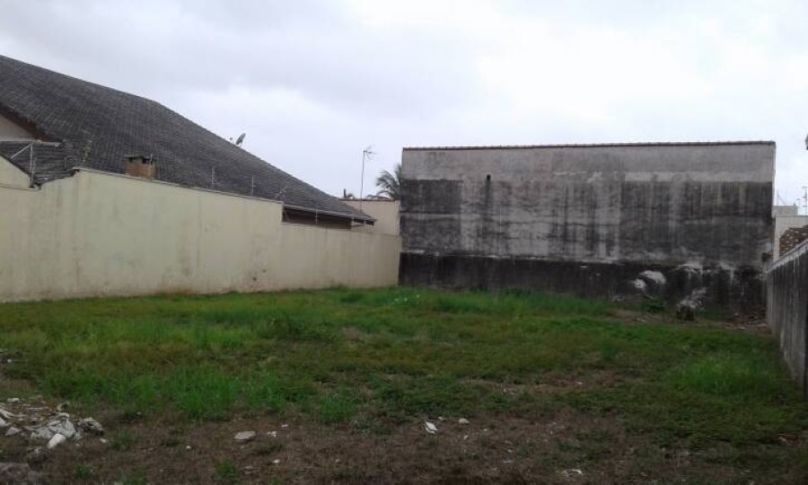 11925.jpg