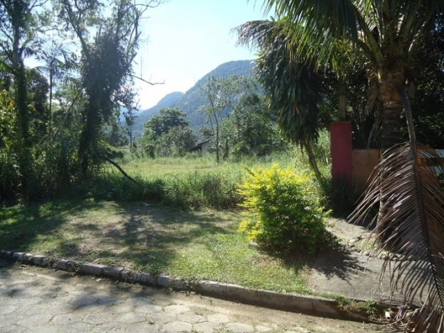 Terreno