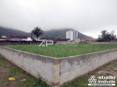 Área - Martim de Sá