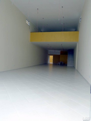 10210.jpg