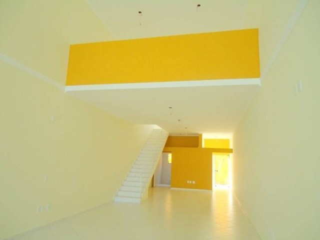 2494.jpg
