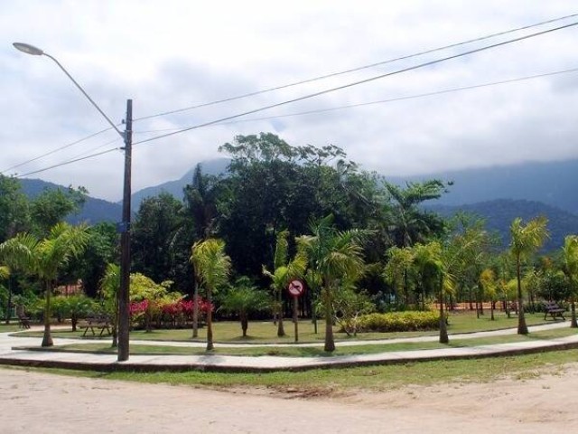 11723.jpg