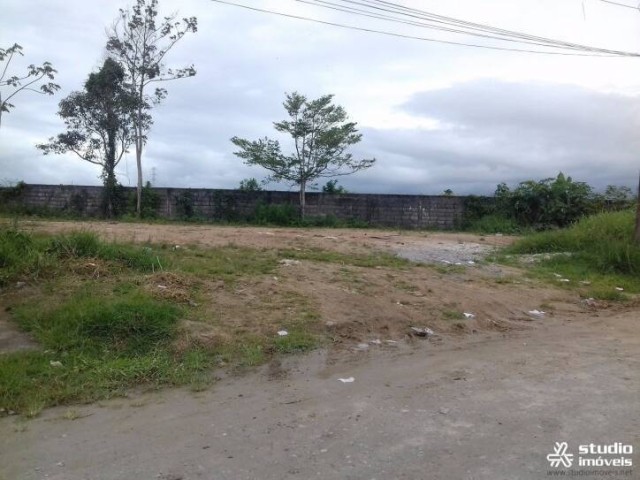 11848.jpg